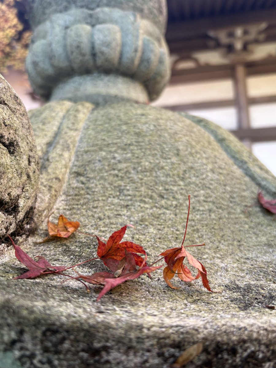 うっしー (@ushiK0221) / Posts / X