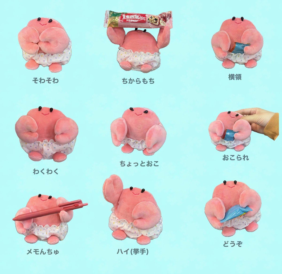 カニは足の本数が多いとキモくて怖い」というご意見を受け、今回連れ