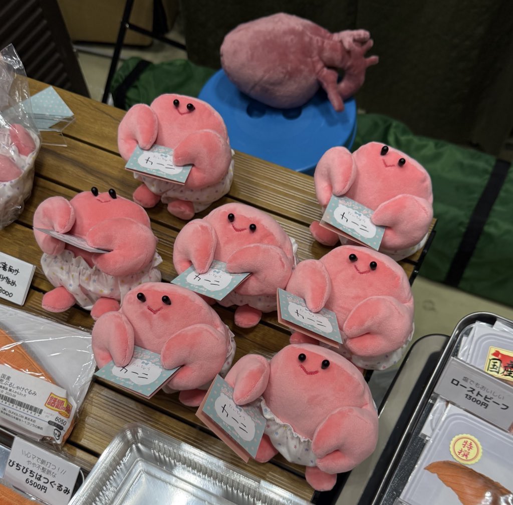 SUNGLOW/1点物/デザインフェスタ購入 🧸SUNGLOW🧸デザフェス両日N-171 (@sunglower) / Posts / X