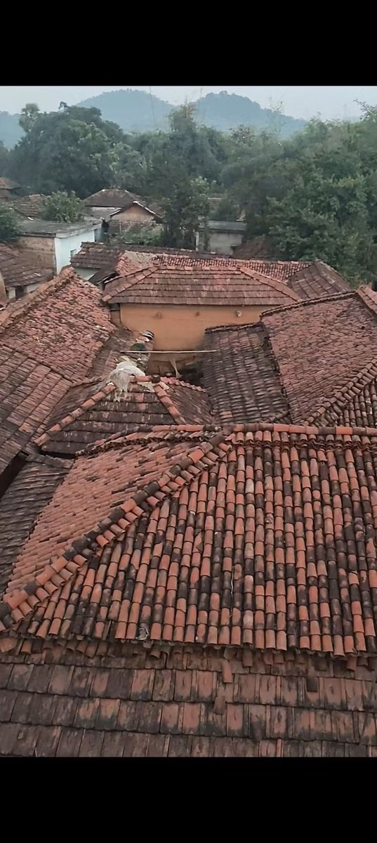 आदिवासी गाँव का मनोरम दृश्य!🌼