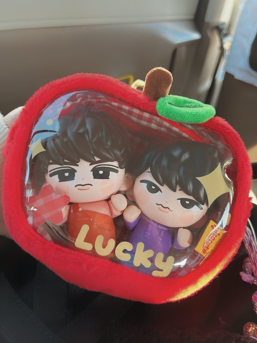 前に買って使ってなかったポーチ🍎 チルぬい入れるとぎゅうぎゅうだっ