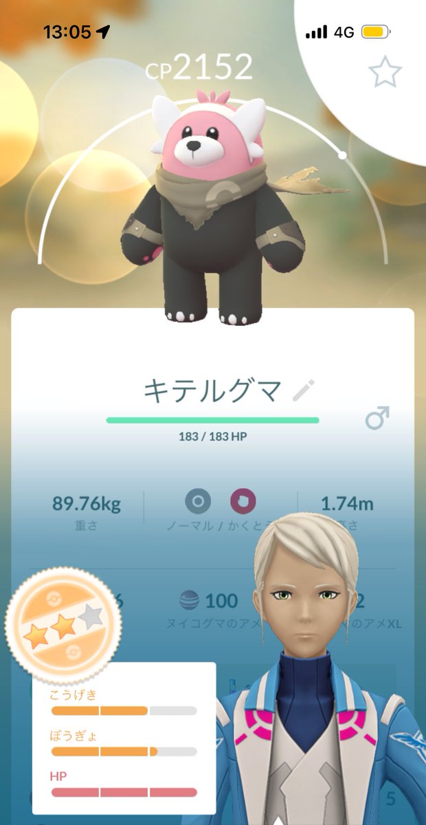 コキンメフクロウ tweet media