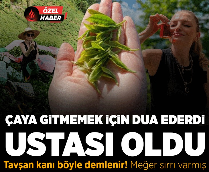 milliyet's tweet photo. 📰 Çaya gitmemek için dua ederdi, şimdi ustası oldu: Tavşan kanı böyle demlenir

🎙 @AytulTuran
✍ @goncakocabas_

https://t.co/jeigLqNut7 https://t.co/URW9tTUSzW