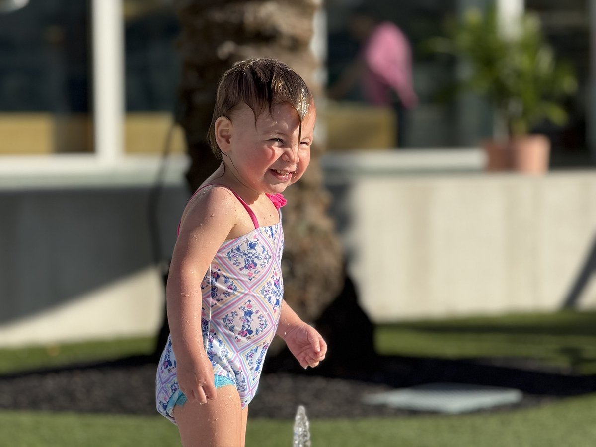 TheRabbit tweet media