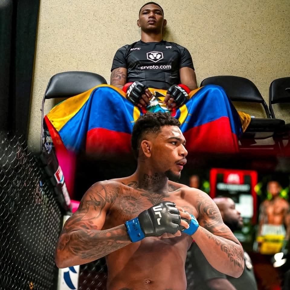 Hincha Azul Emelec tweet media