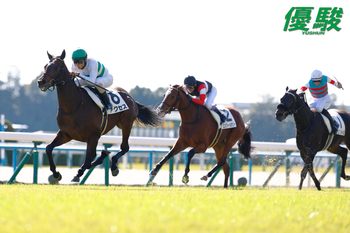 京都第5レース「2歳新馬」(芝2000m)は #北村友一 騎手騎乗の