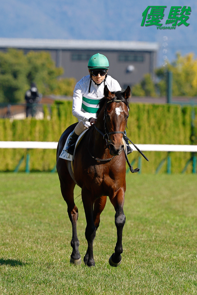 馬場 京都第5レース「2歳新馬」(芝2000m)は #北村友一 騎手騎乗の