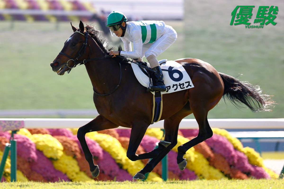 馬場 京都第5レース「2歳新馬」(芝2000m)は #北村友一 騎手騎乗の