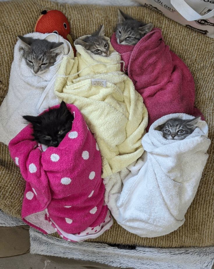 they're just babies