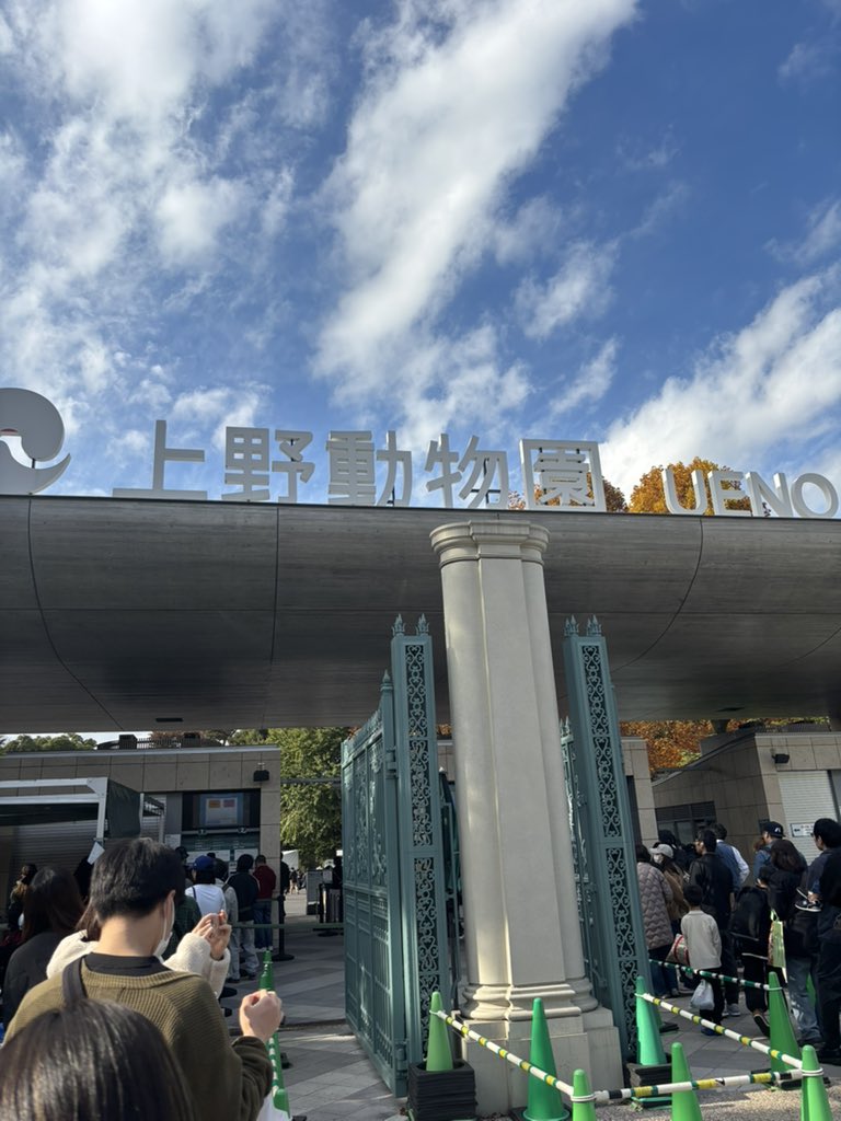 ジンベエー (@NZSjIFiJi8eDWdD) / Posts / X