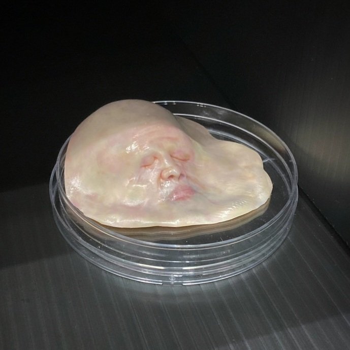 ブース番号 N35

#デザインフェスタ
#デザフェス
#デザインフェスタ62
#designfesta
#designfesta62