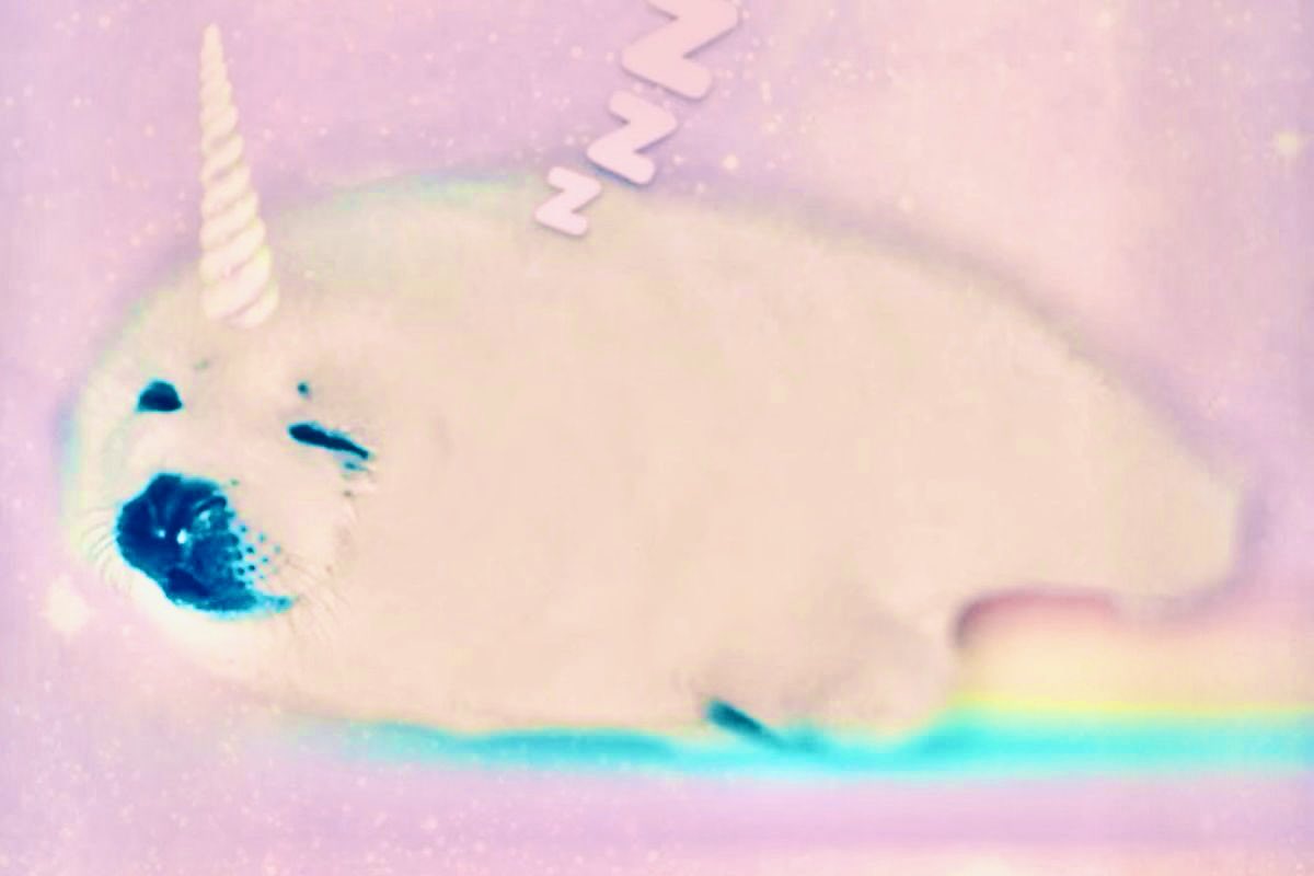 casper tweet media