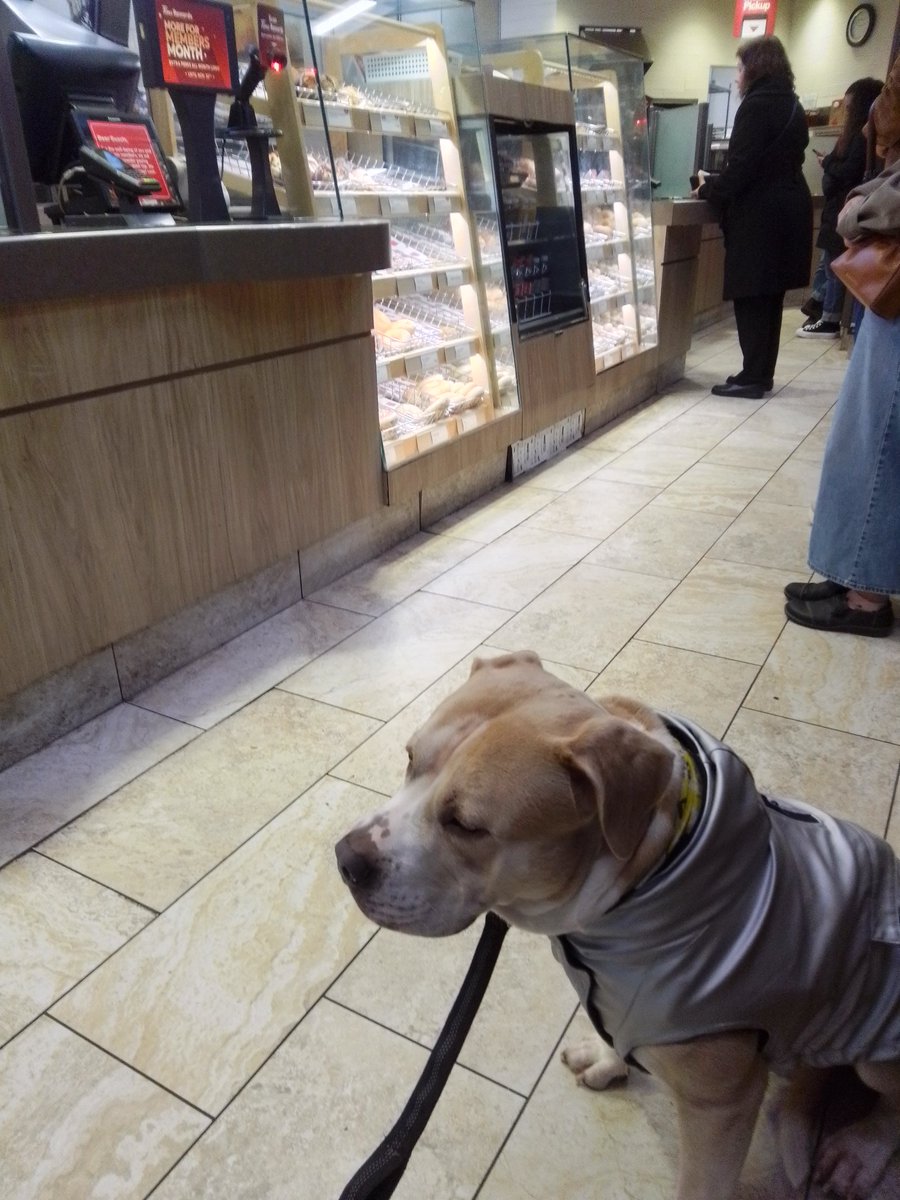 LebrockTony's tweet photo. Sat🌄🐶🍩🐾💙🤎🤍🤍🤎💙
#dogtreat #dogsday #donut #petsnack #timms #dogswin #snackvibes #timhortons #pitties #agooddaytobeadog #dogswin #dogsofx #dogsonx #MadamRiley #joey #dogx https://t.co/whn5rzZf3Q