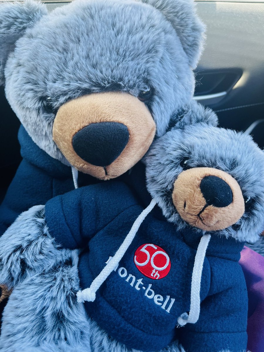 くまゆめ (@kumayume1) / Posts / X