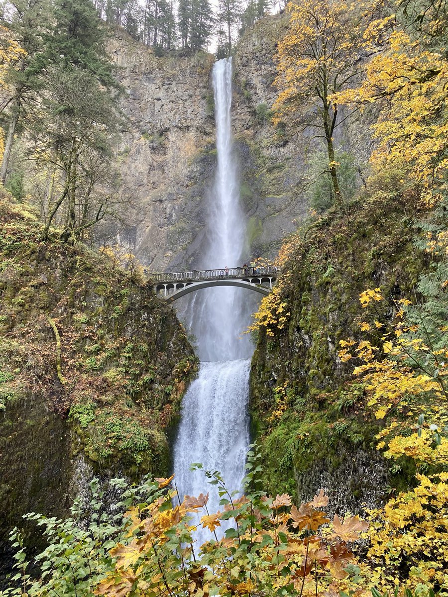 drarifciloglu's tweet photo. An unforgettable few days in Portland, Oregon!
Honored to attend Entomology 2025 as an invited speaker, sharing our research and meeting amazing scientists from around the world.
Also had the chance to see the stunning Multnomah Falls. 
My U.S. chapter continues… ✨ https://t.co/xlpncTDCy7
