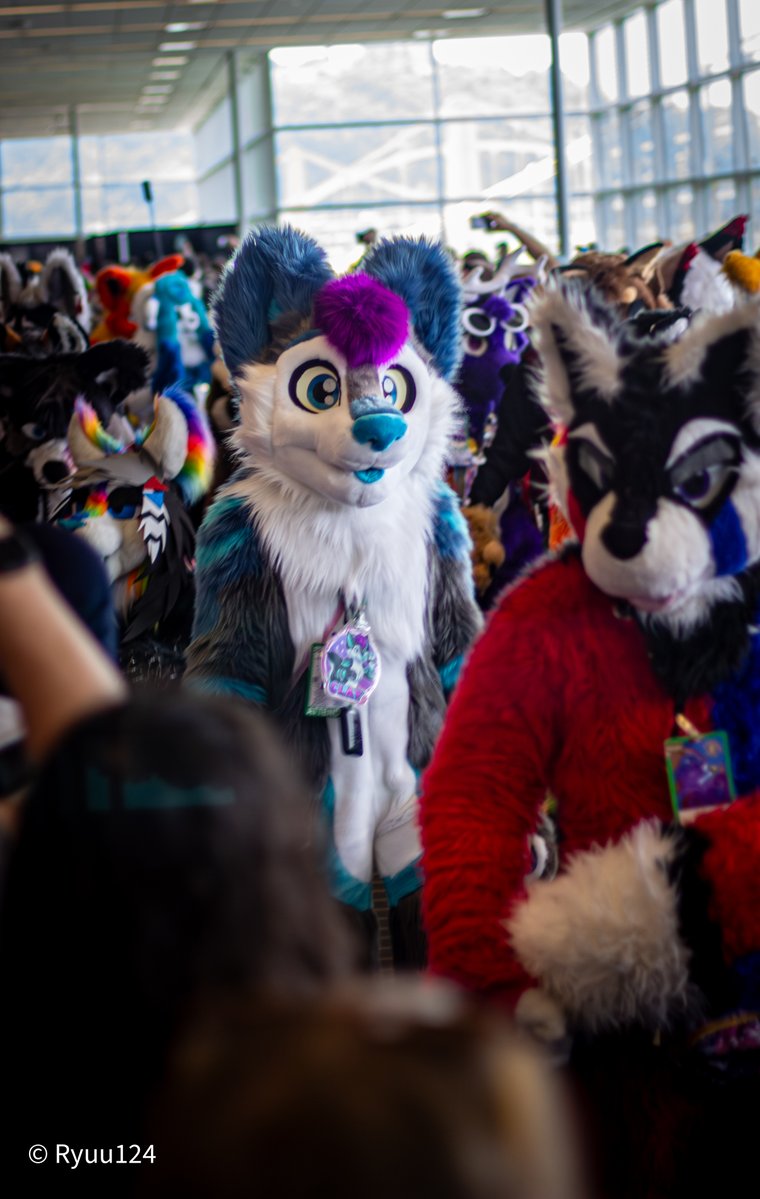 I feel lost

But also blep, head empty, just fox 🦊

📸: <a href="/Ryuu130/">Ryuu 🏳️‍🌈 🔜 🟦☁</a> 
✂️: <a href="/LupeSuits/">LupeSuits</a> 

#Furry #Fursuit #FursuitEveryday #AC25