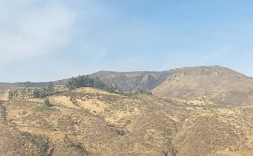 COEN - INDECI tweet media