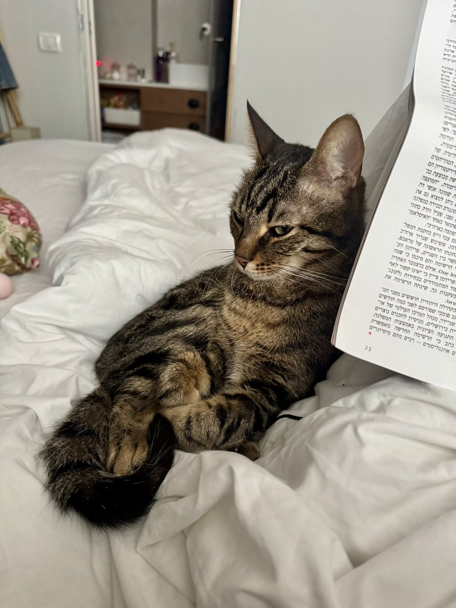 sarithecht's tweet image. מצב נפשי עם פרוש יומראשון 

#להחמיד_את_הפיד