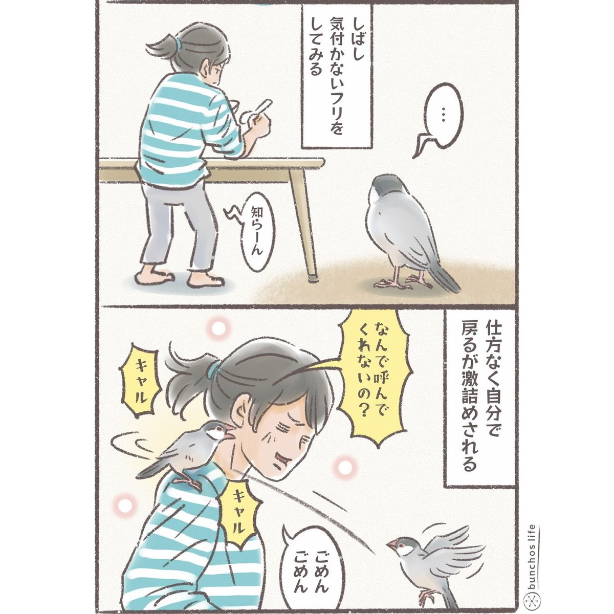 こむぎ🕊️ (@komugi_chan55) / Highlights / X