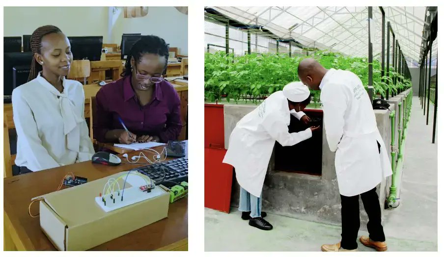 98491Aline's tweet image. Smart farming is rising with mobile apps that use sensors to track soil moisture, nutrients, and crop conditions in real time. Farmers gain precise insights, reduce waste, and boost productivity through data-driven decisions.
#InnovationInAgriculture
#AgriTech
#SmartFarming