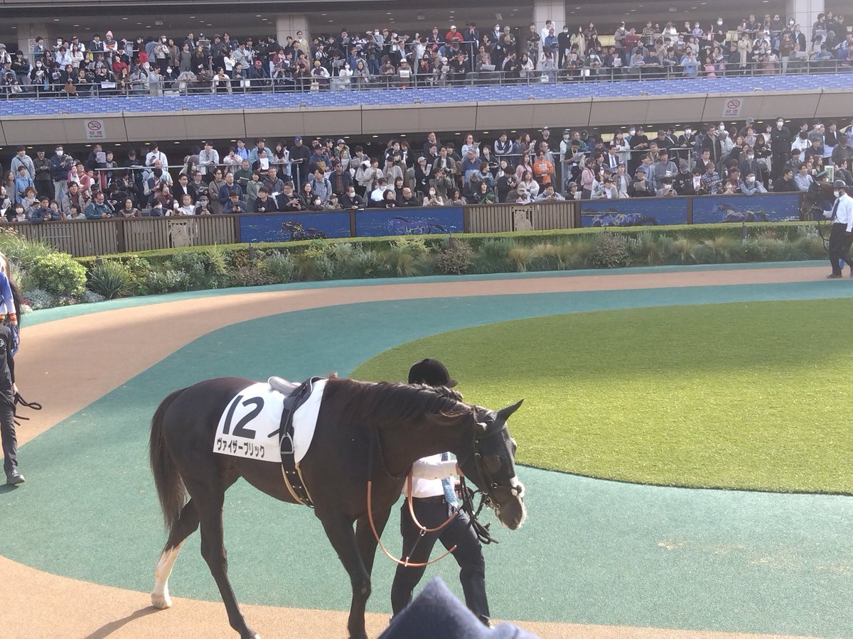 がんばれ！ヴァイザーブリック！！