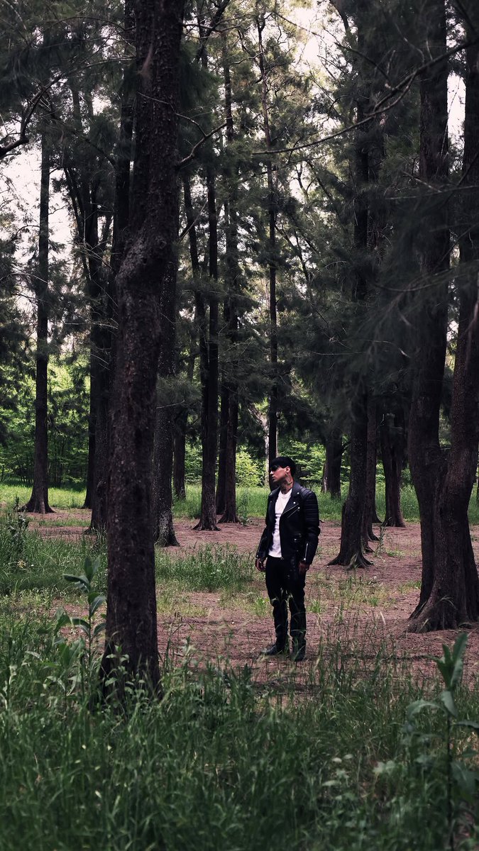 Contigo toqué la locura y me pude calmar