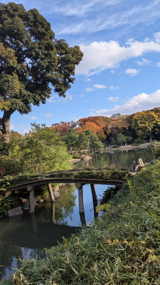 海月- ｸﾗｹﾞ- (@168cm__UoxoU) / Posts / X