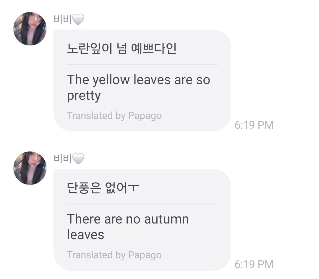 vvkhfolder's tweet image. 251116 — fromm update 💬
#VIVI #비비 #黃珈熙