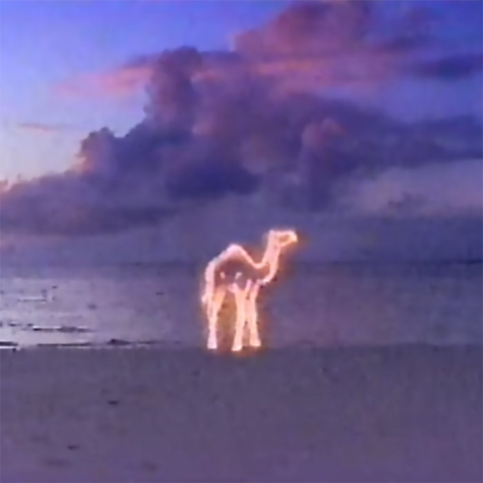 look4kiss's tweet image. videocassette recorder: COMMERCIAL BREAK (2021)
endlessdreams.bandcamp.com/album/commerci…
5 songs 6 min
あたかもドゥーム・メタル的なッッ⁉…スローでヘビーなトーンのシグナルウェイヴ‼
#Vaporwave 🏜️📼🐪
As if it were Doom Metal!? …Slow and heavy-toned #Signalwave!!