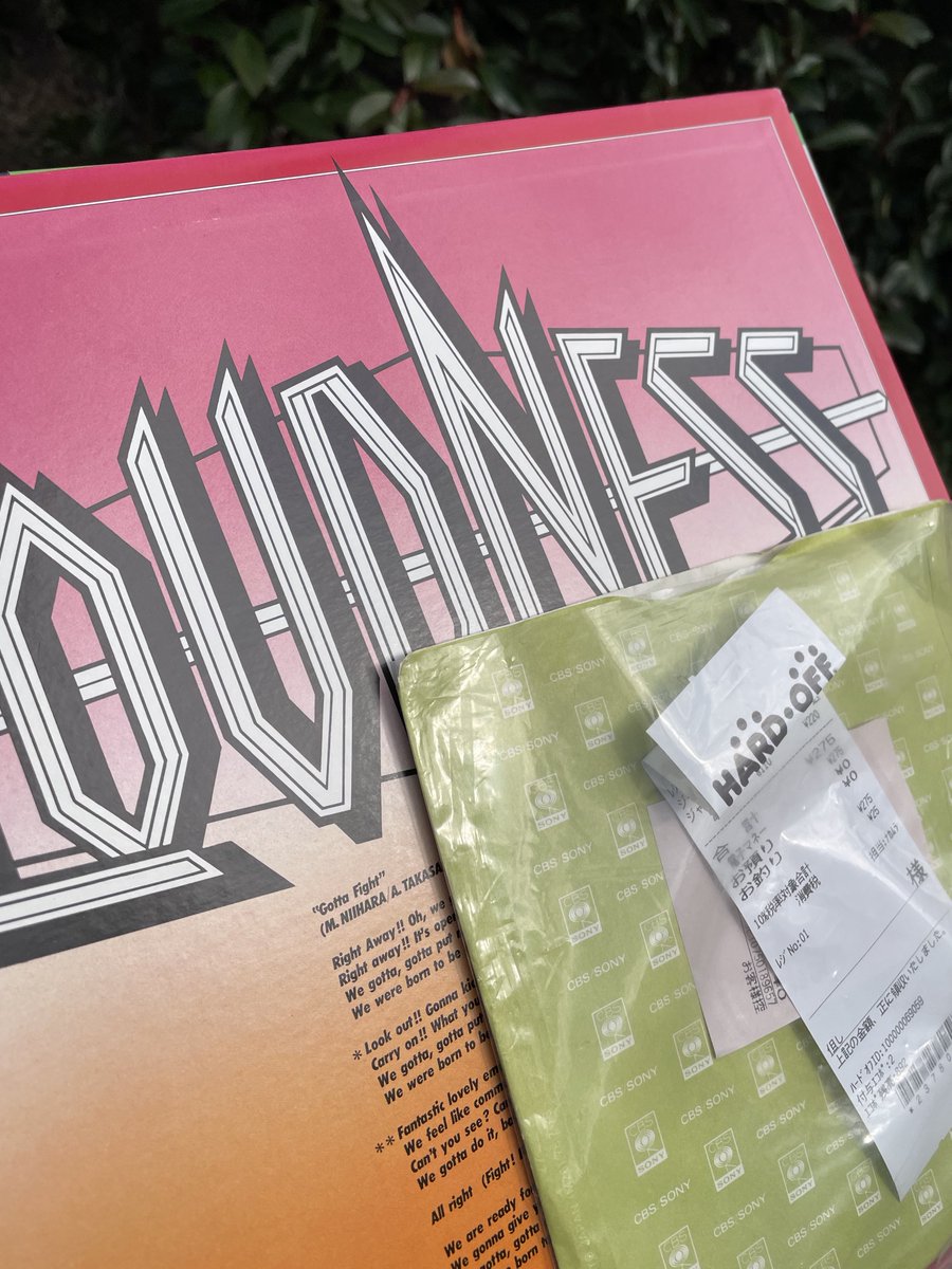 レコード備忘録（極小漁） LP×1枚 12inchシングル×1枚 7inchシングル×1