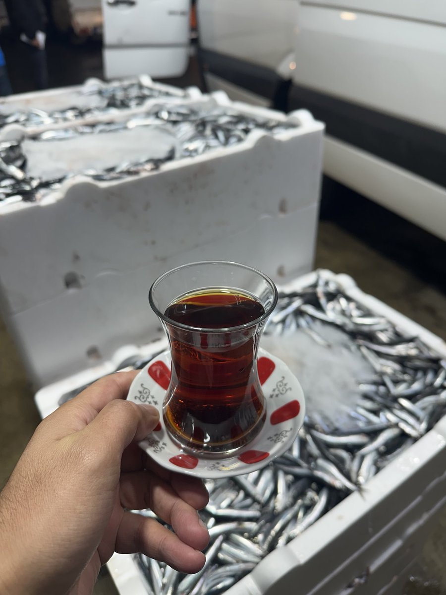 Hamsinin en tazesini almaya geldim 🐟