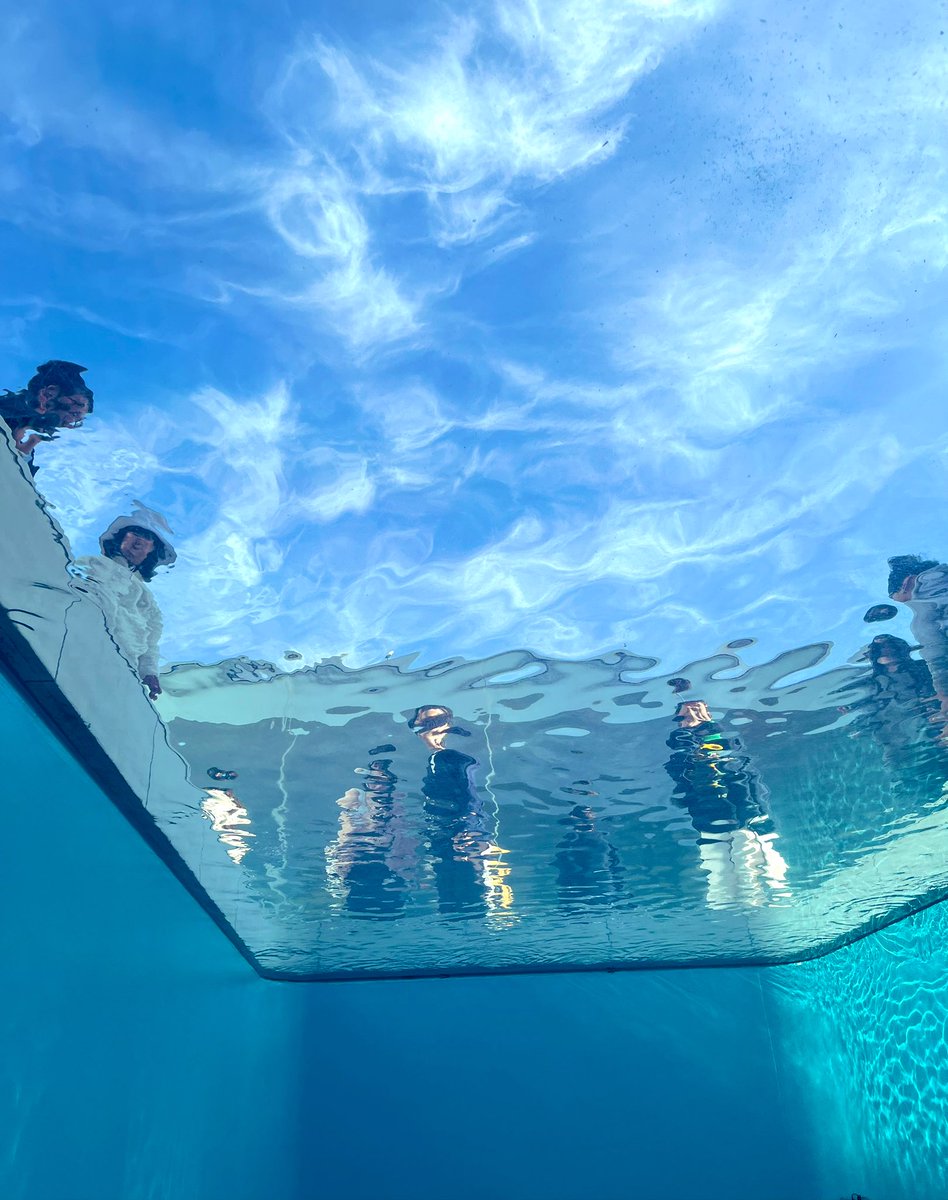 Post by シロくま on X: 21世紀美術館