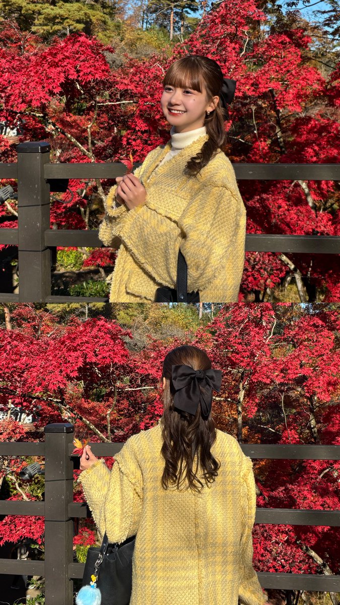 tanabedesuu's tweet photo. 新潟の観光スポット📢

弥彦へ紅葉を観に行ってきました🍁
色鮮やかで綺麗だったな🍂
新潟の秋を感じてきました！

夜は11/30までライトアップも、、！
日中とは違う幻想的な姿も気になる🌉

📍弥彦公園もみじ谷 https://t.co/kEgnbJFj4G