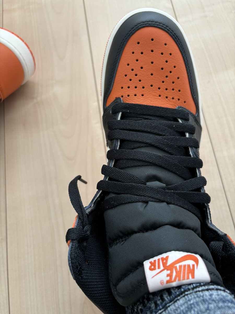 hiro @HSS型HSP 保護猫 (@3627hiro) / Posts and Replies / X