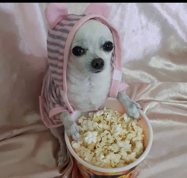 aarohi_vns's tweet image. Happy Sunday