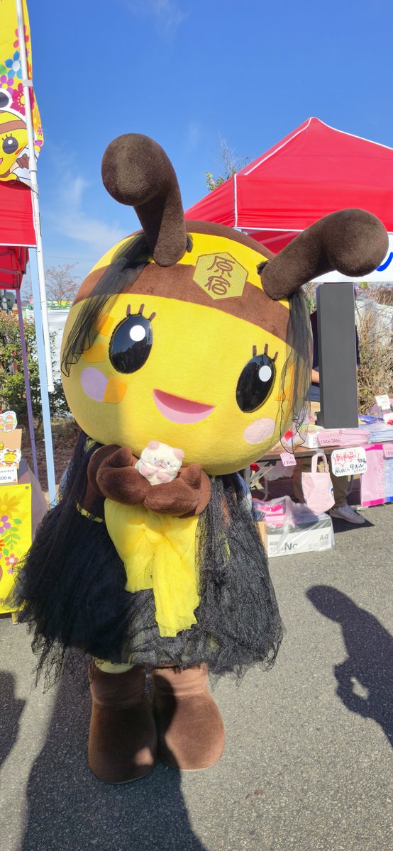 tyorica__'s tweet image. みっころちゃんとシャーシャ
かわいい写真撮らせてくれてありがとう！
#原宿みっころ
#シャーシャ
#ふくふくにゃんこ