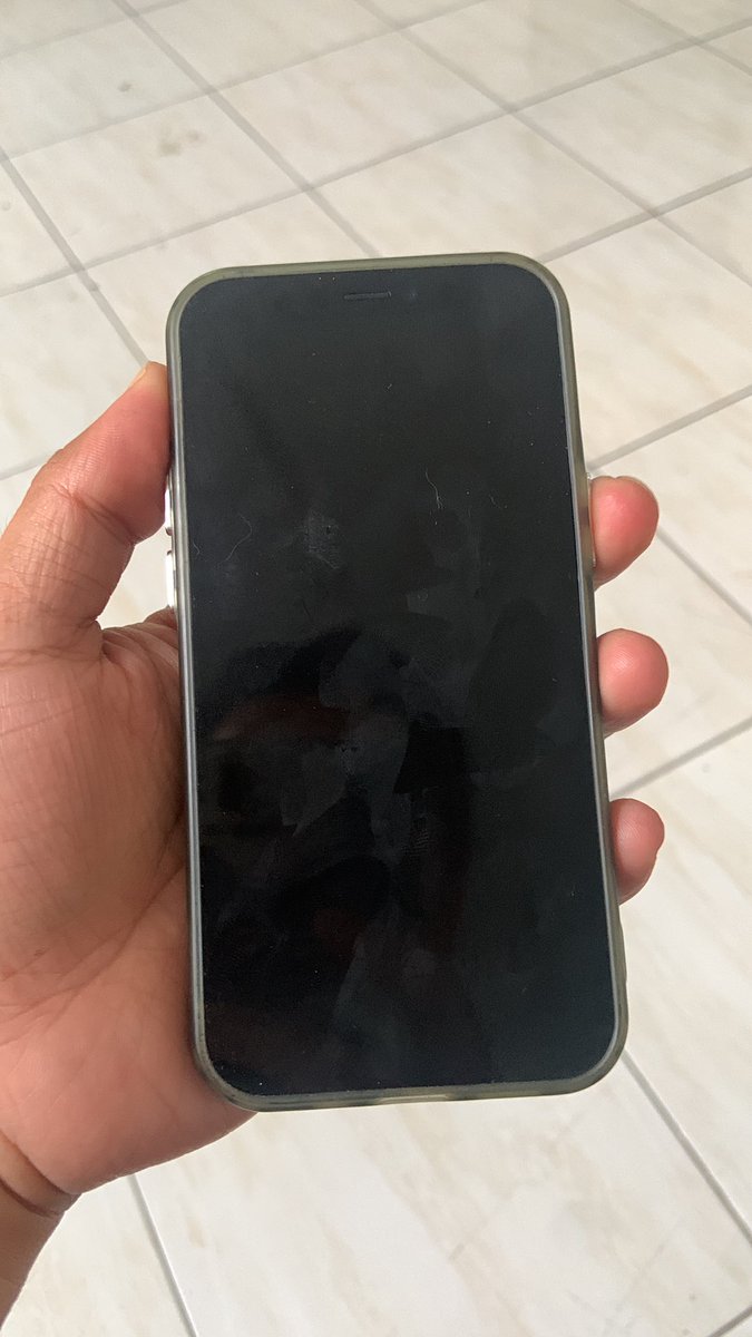 Schwarzhasen. tweet media