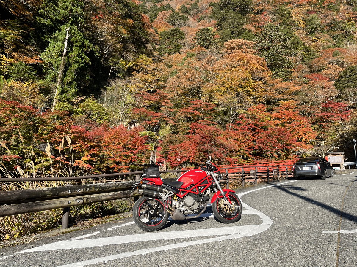 ikkow's tweet photo. 梅ヶ島〜西浦長井崎〜三保
なかなか走った https://t.co/EuKDIYvfuJ