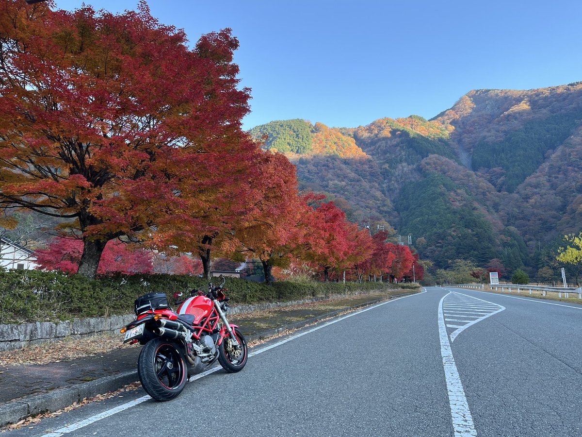ikkow's tweet photo. 梅ヶ島〜西浦長井崎〜三保
なかなか走った https://t.co/EuKDIYvfuJ