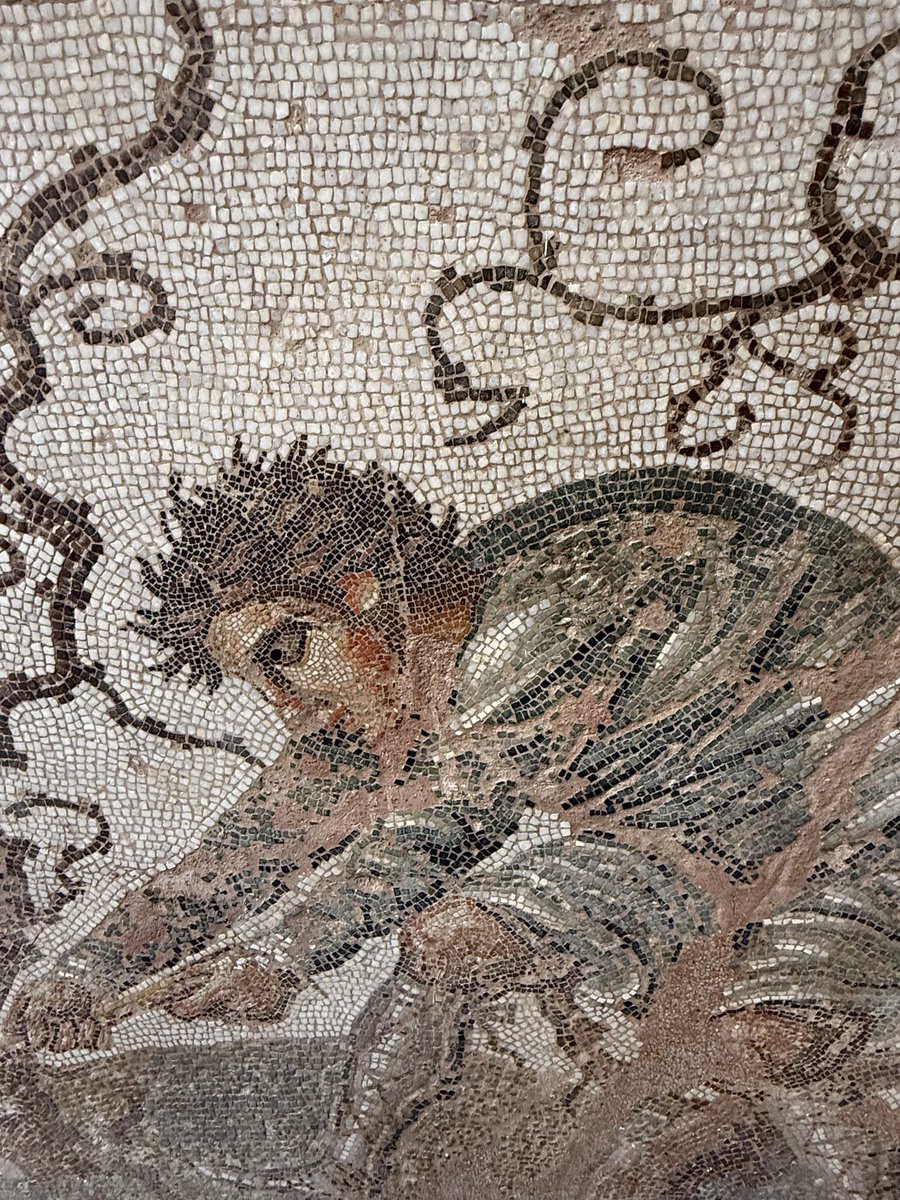 ElizabethAubin's tweet photo. The details of the mosaics at the Archaeological Museum of #Cherchell are spectacular. The facial expressions and small details amaze me. ❤️🇩🇿 https://t.co/PprJ84etDe