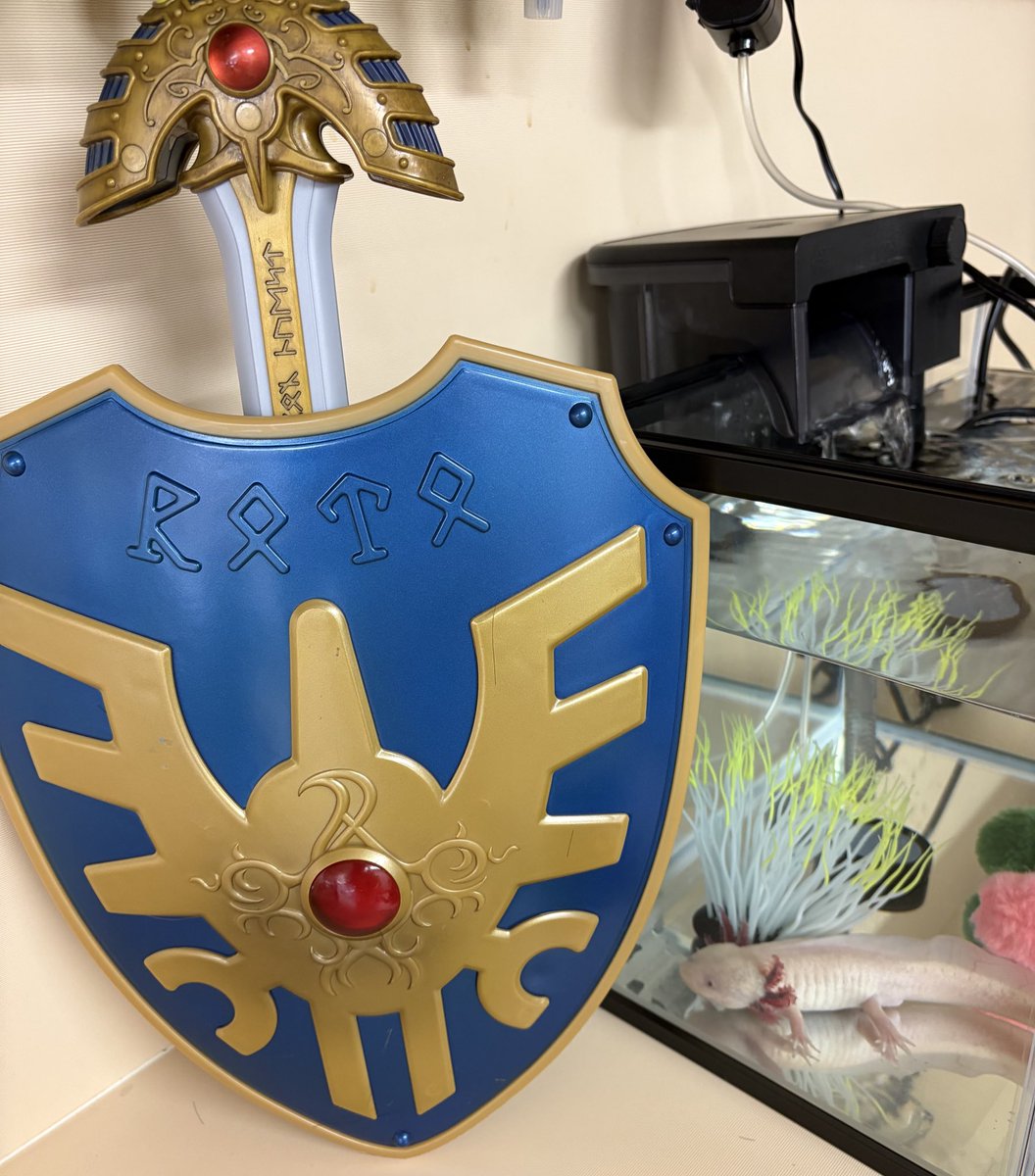 Kazu 🐈 (@kazu9193) / Posts / X