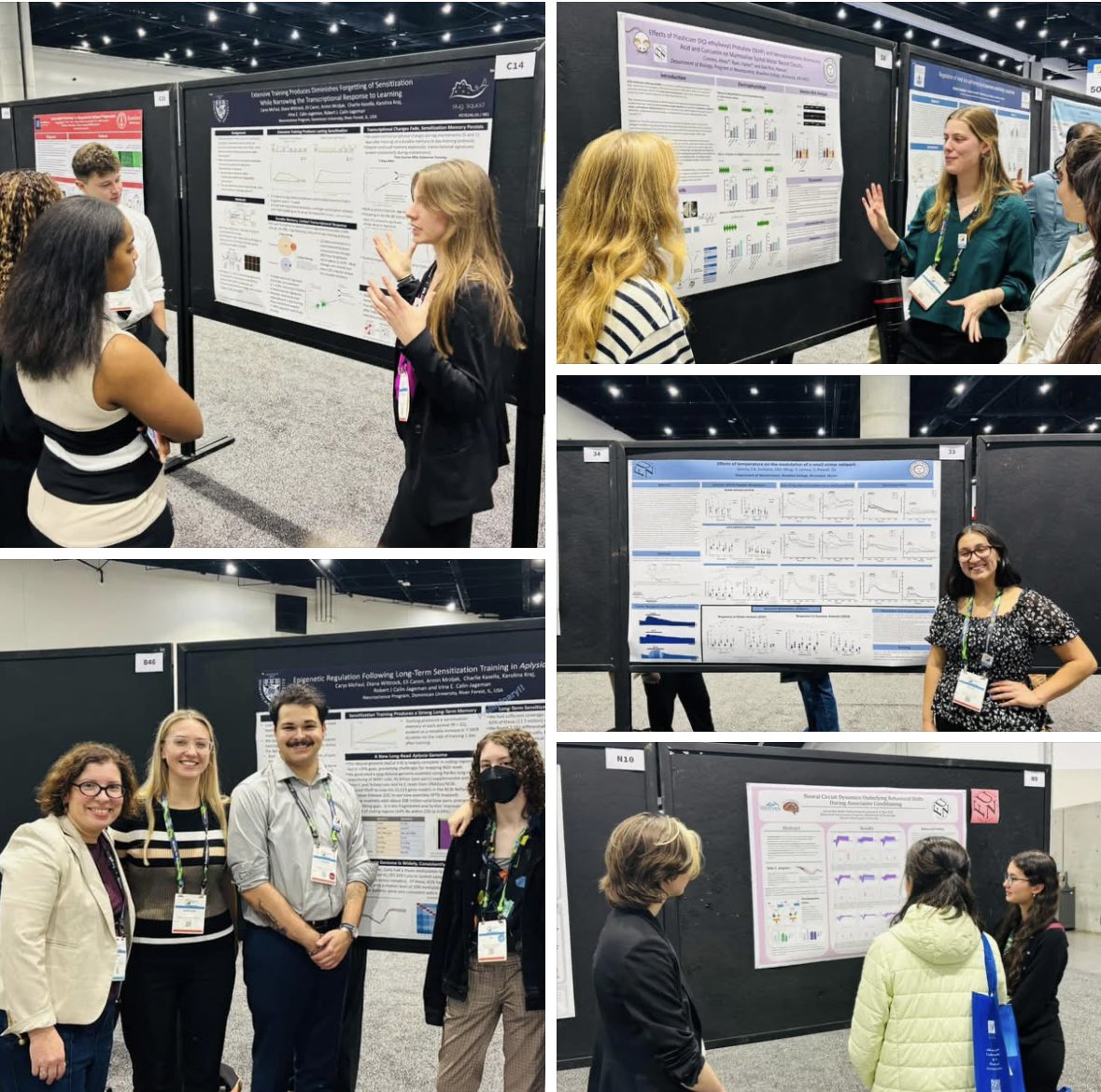 Faculty for Undergraduate Neuroscience tweet media