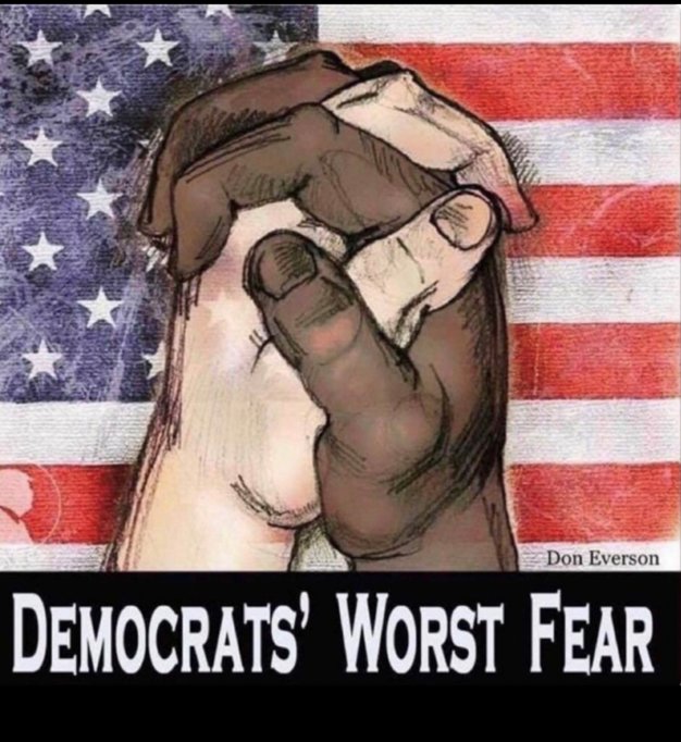 RaybineSue87881's tweet image. That&apos;s been the Democratic lie from the beginning. It&apos;s still the Democratic lie today.