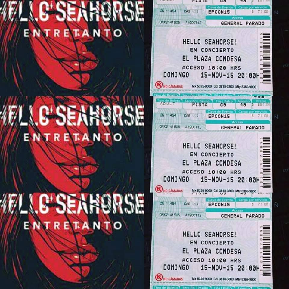 loravalenz's tweet photo. Vaya que el tiempo vuela… 9 añoos 
Que tal si festejamos el próximo año con @HelloSeahorseMX  ♥️♥️ 
@denisegume 
@Bonnz 
@bbuurrggooss https://t.co/pDKzGGvPSX