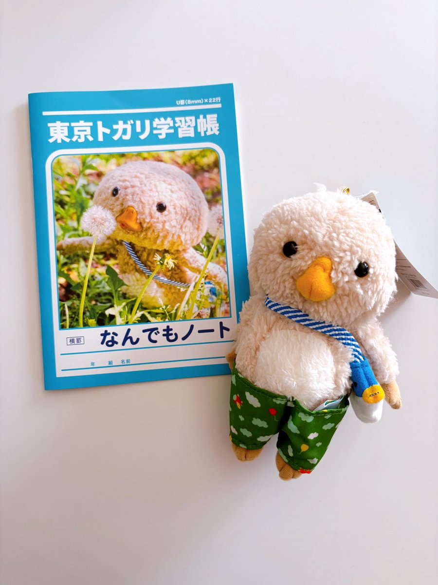 いつか我が家にお迎えしたいと思っていたトガリくんが我が家に来た