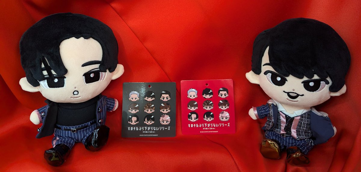 ☃️新入荷情報☃️ SnowMan 25年 Snow World すのチルぶら下がらない