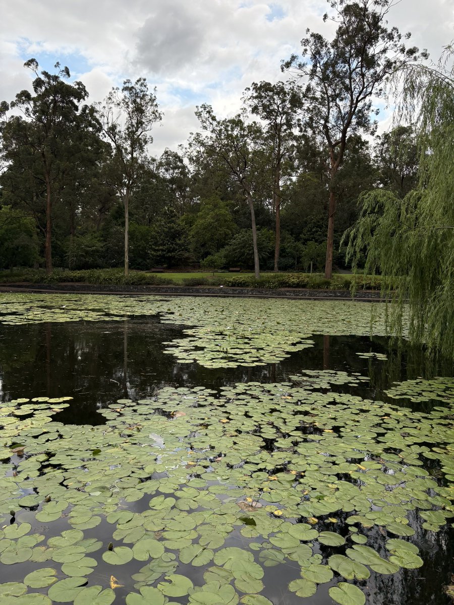 Misty 💙🌻 tweet media