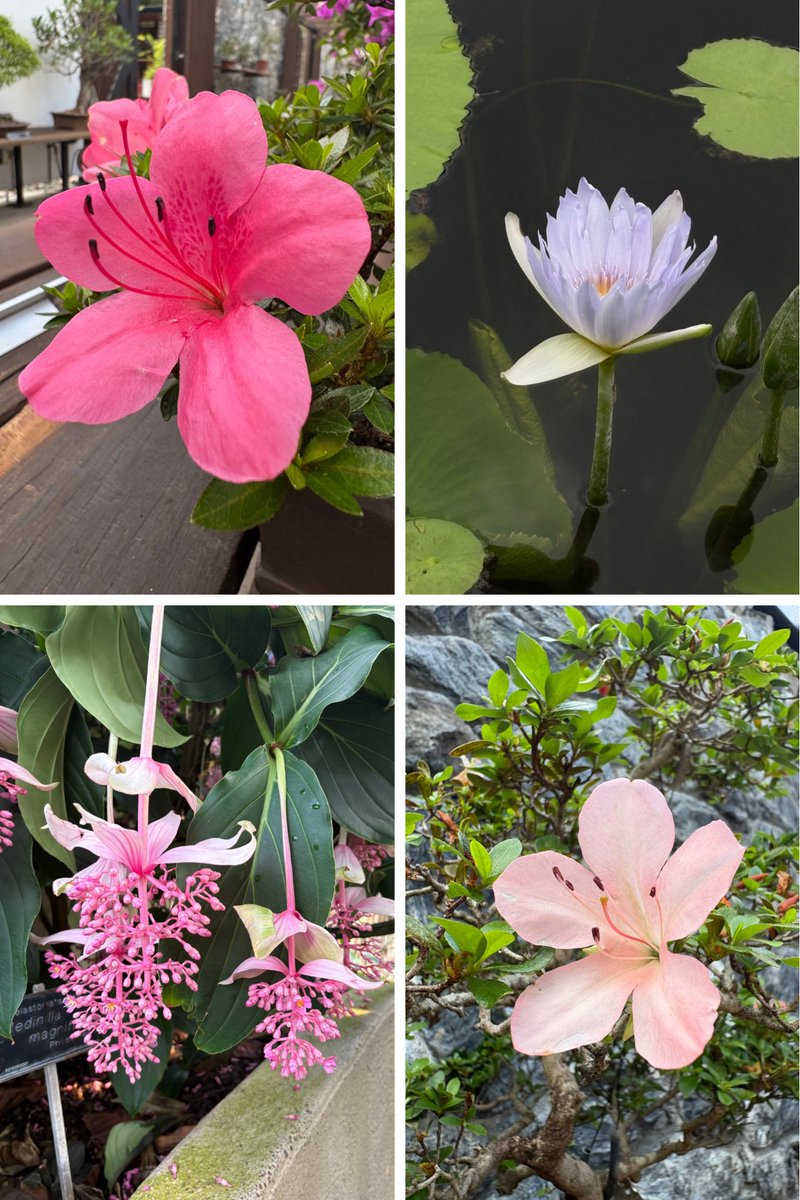 Misty 💙🌻 tweet media