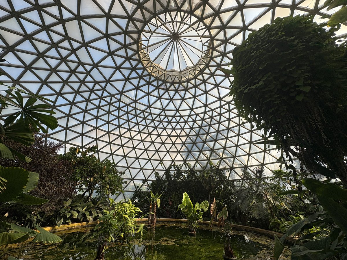 Misty 💙🌻 tweet media