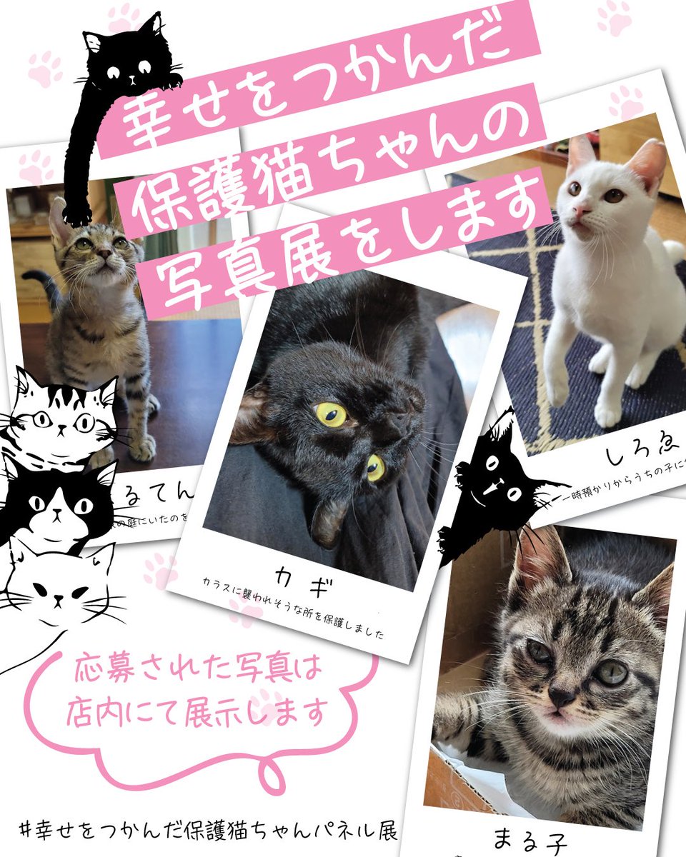 ハイツくろねこ🐈‍⬛🐾 (@haitsukuroneko) / Posts / X